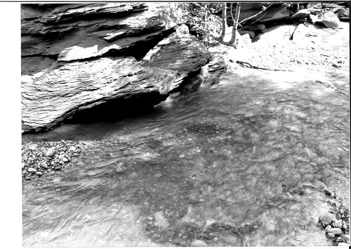 [VIDE]