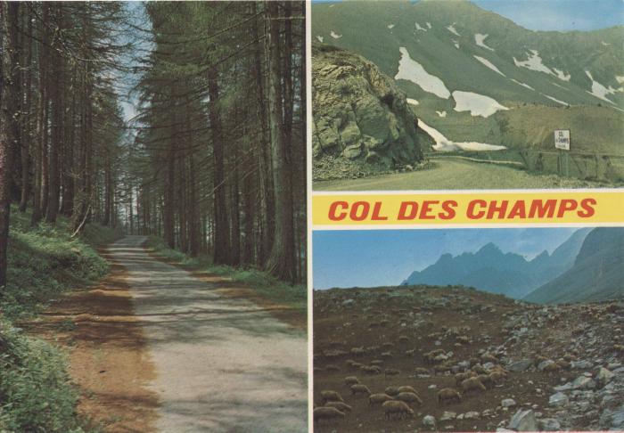 [VIDE]