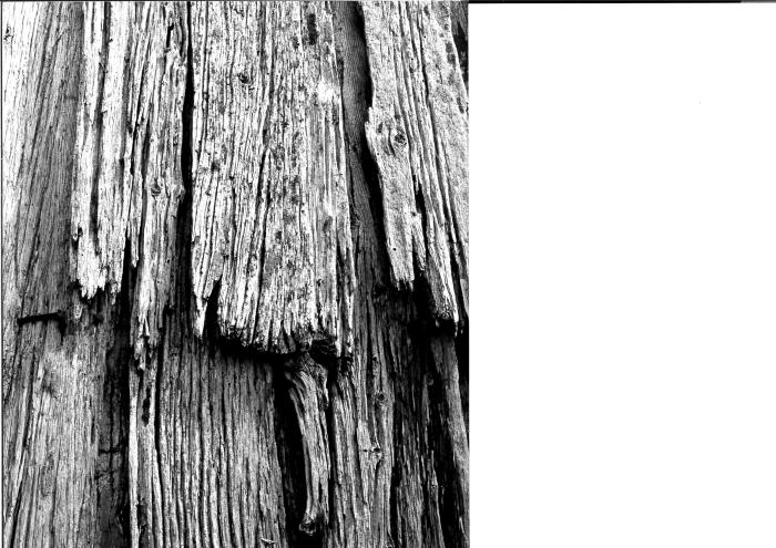 [VIDE]