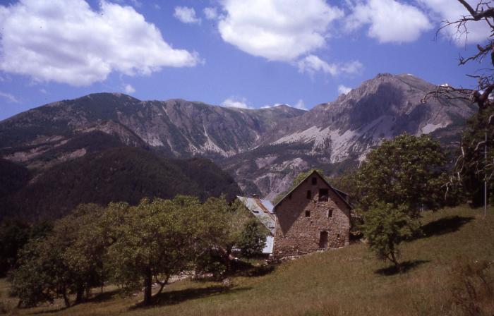 Ferme - Sauze-le-Vieux, la Vigière