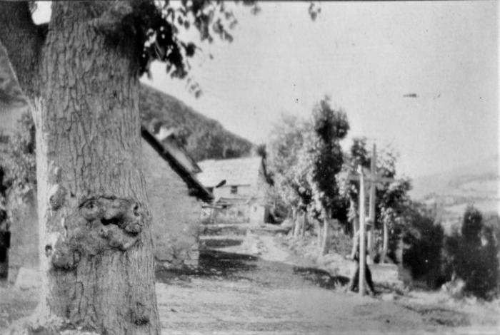 Orme et personnage et Croix, Les Barels, hameau du Serre, 1917.