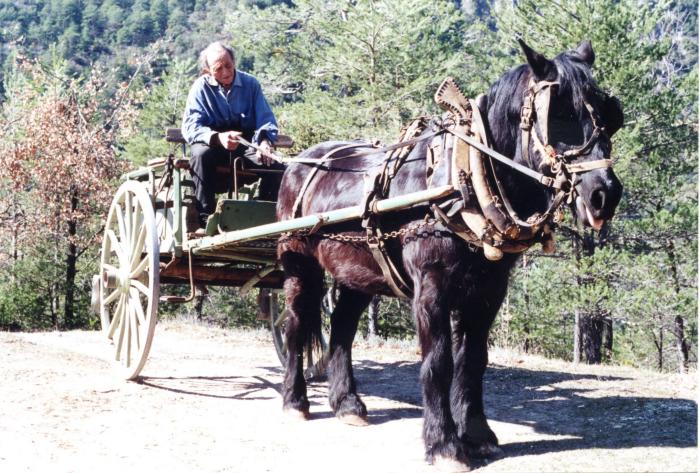 Séraphin Garcin, conduisant sa charette, Villars-sur-Var, 1998. Cliché Thomassin Philippe, Roudoule.