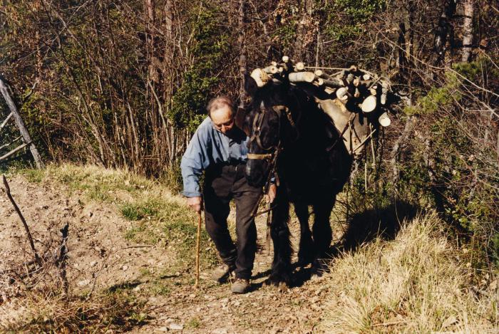 Séraphin Garcin, marchant à côté son cheval chargé de bois, Villars-sur-Var, 1998. Cliché Ghienne Pierre, Roudoule.