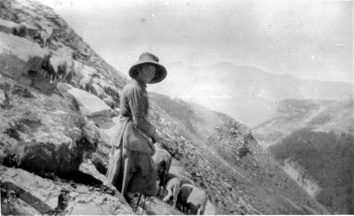 Bergère et son troupeau au lieu-dit Les Portes, Barels 1917.