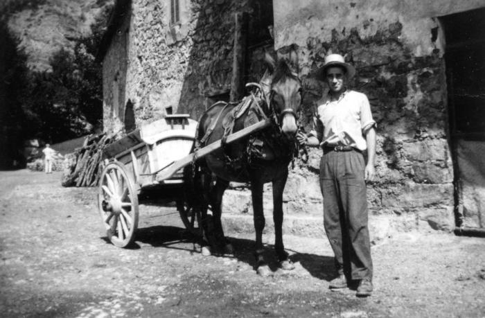 [Jeune homme et tombereau attelé, Bouchanières, août 1951.]