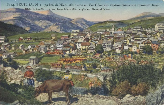 3014 - Beuil (A.-M.) (alt. 1450m) - vue générale, station estivale et sport d'hiver - 79 km de Nice
