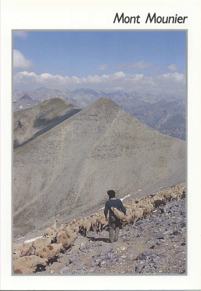 Mont Mounier. Transhumant au col de la Croussette (alt .2204 m)