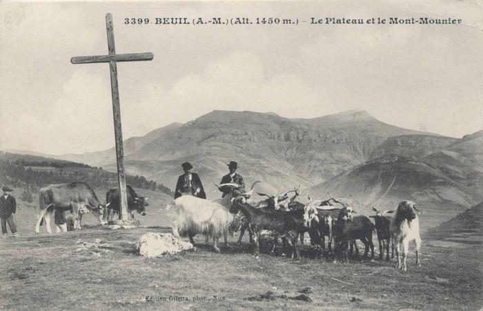 3399. Beuil (A.-M.) alt. 1450 m - Le plateau et le Mont Mounier