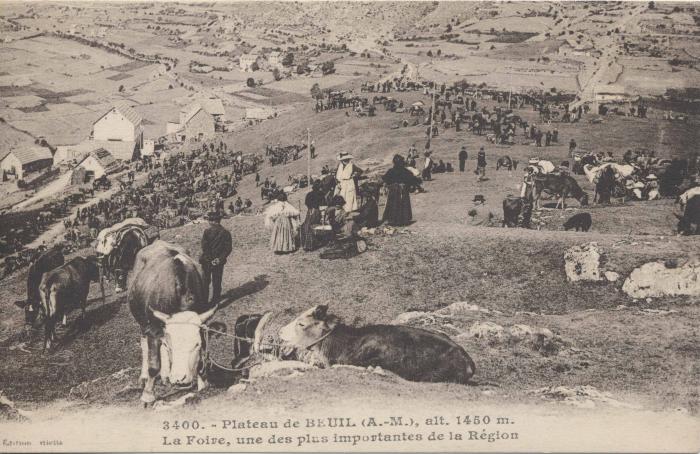3400. Plateau de  Beuil (A.-M) La foire, une des plus importante de la région