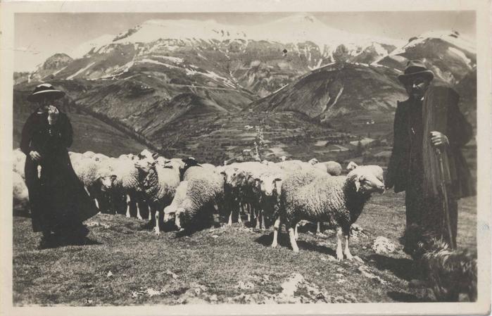 57. Beuil (A.-M.) -  Mont Mounier (2818m) - Troupeau de Mouton