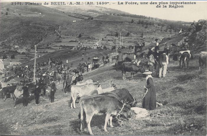3401. Plateau de Beuil (A.-M) La foire,une des plus importante de la région