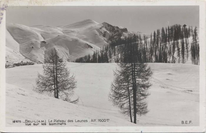 12475 - Beuil (A.-M) - le plateau des Launes (alt 1600 m)