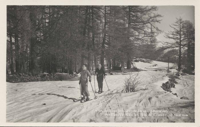 4725  Station d'hiver Beuil-Valberg - Promenade dans les bois du Collet de Guérin