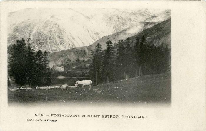 n°13 - FOSSAMAGNE et MONT ESTROP, PEONE (A.M.)