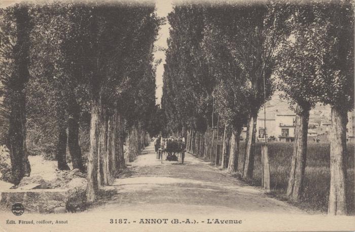 3187 - Annot (B.-A.) - L'Avenue 