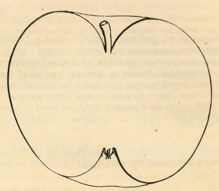 Leroy André (1867-1879) Dictionnaire de pomologie : contenant l’histoire, la description, la figure des fruits modernes les plus généralement connus et cultivés. A. Goin Librairies Agricoles et Horticoles, Paris, Pépinières André Leroy, Angers, Tome III, Pommes A-L. p.110